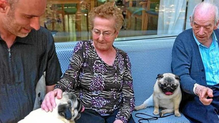 La residència Sant Bernabé fa teràpia amb gossos per a gent gran