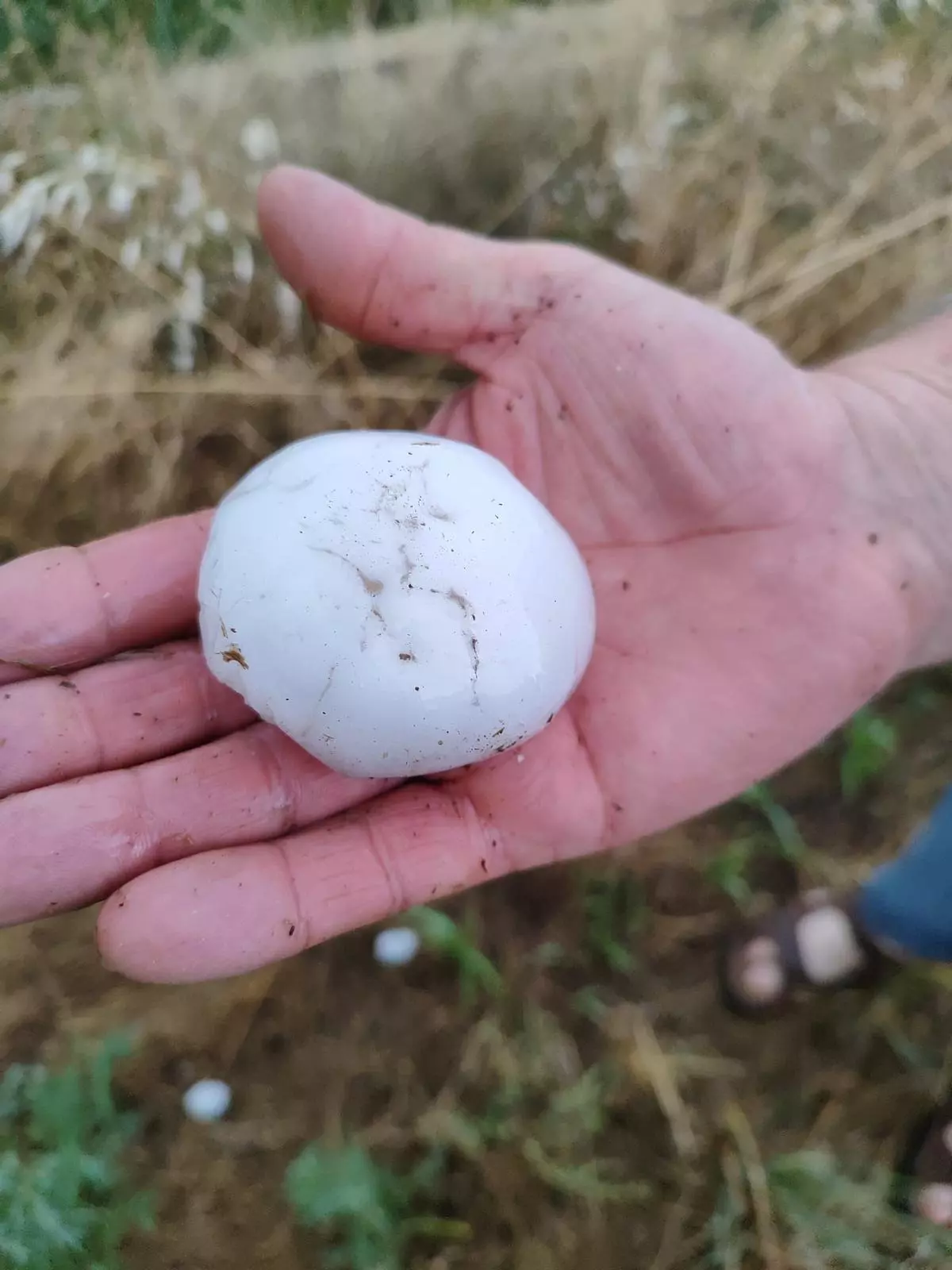 Una fuerte granizada descarga sobre Alagón (Zaragoza)