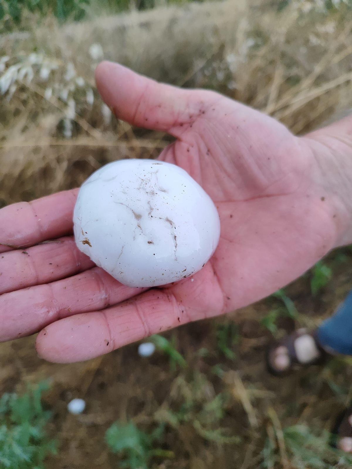 Bola de granizo, esta tarde, en Gallur.