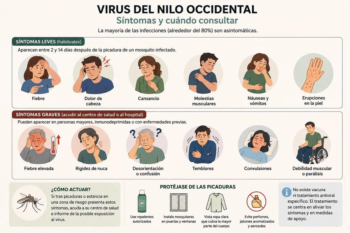 Síntomas y cómo actuar.