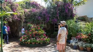 ¿Vienes a los Patios de Córdoba? Estos son los 52 recintos que participan en el concurso y no te puedes perder