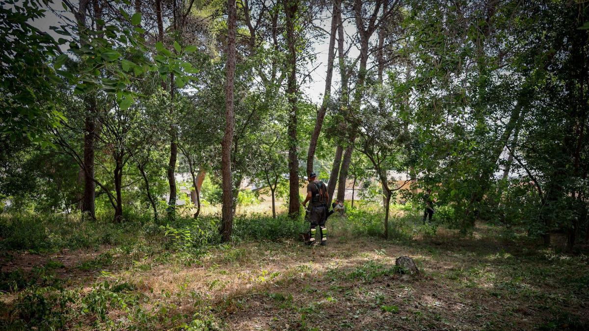 Un operario de la brigada forestal.
