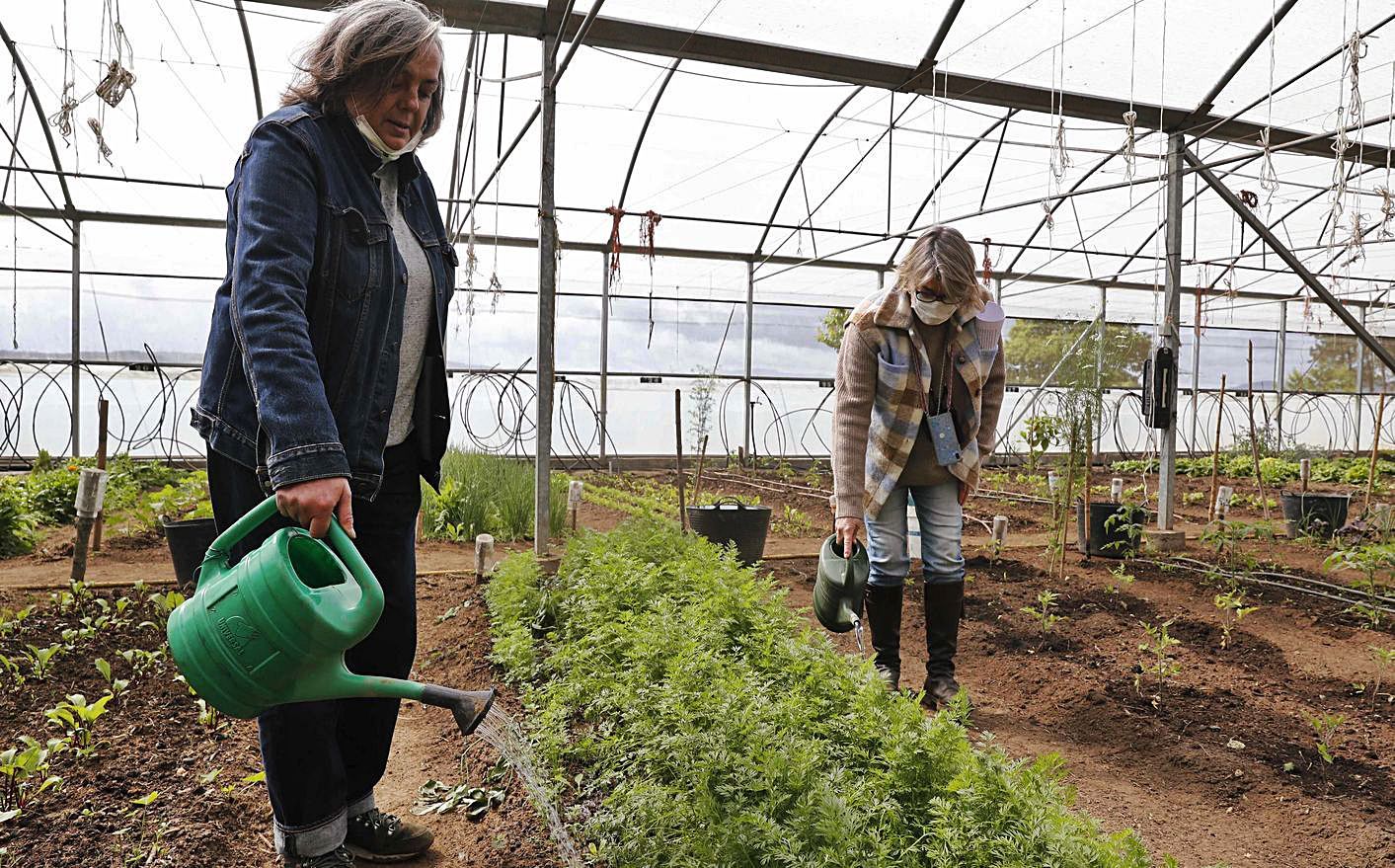 Isabel y Sandra en el invernadero. Dcha. Jesús y sus padres en la huerta. Abajo, Iria Onieva explica su arte fotográfico a la edil Yolanda Aguiar y Santos Héctor, diputado provincial. Izda. Óscar  y su guitarra rehabilitada.  | // P. HERNÁNDEZ