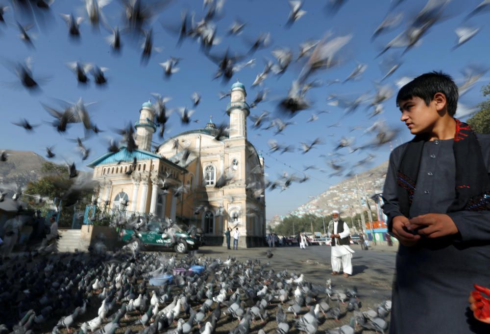 Pigeons fly outside the Shah-e Doh Shamshira ...