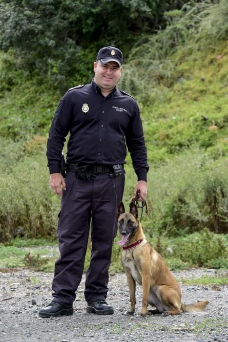 Reportaje a la Unidad Canina de la Policia ...