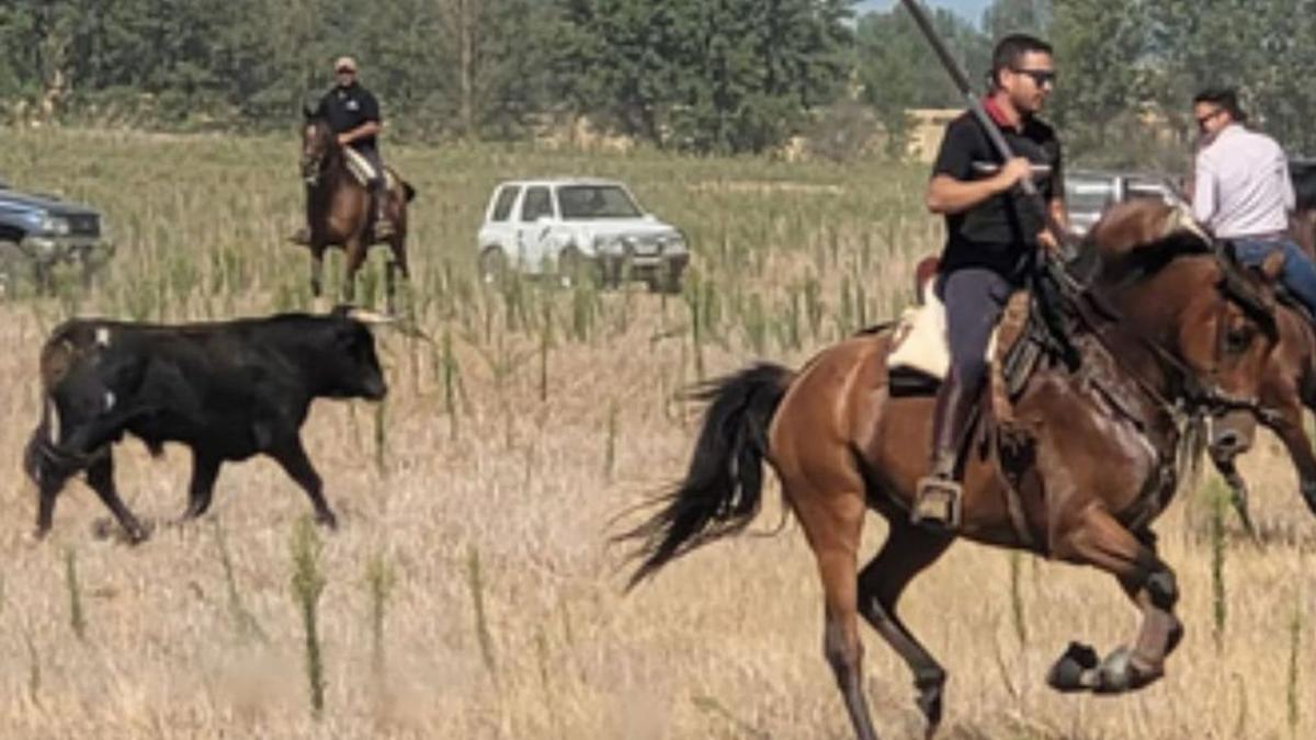 Los caballistas disfrutaron al trote del encierro campero. | E. P.