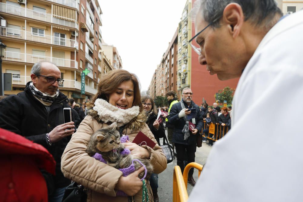 Festividad de Sant Antoni en València