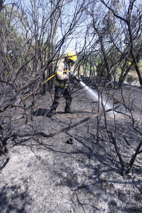 incendi forestal a Llagostera i tall de la carretera