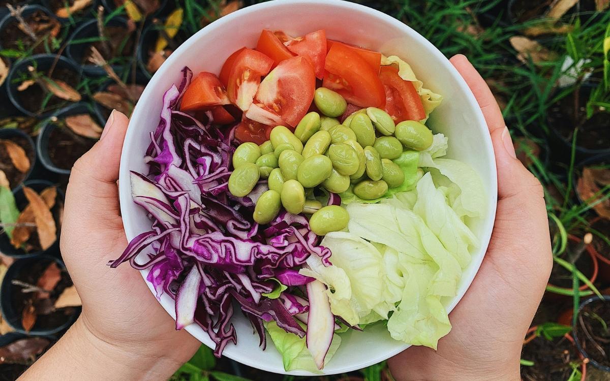 Un plato de comida sana