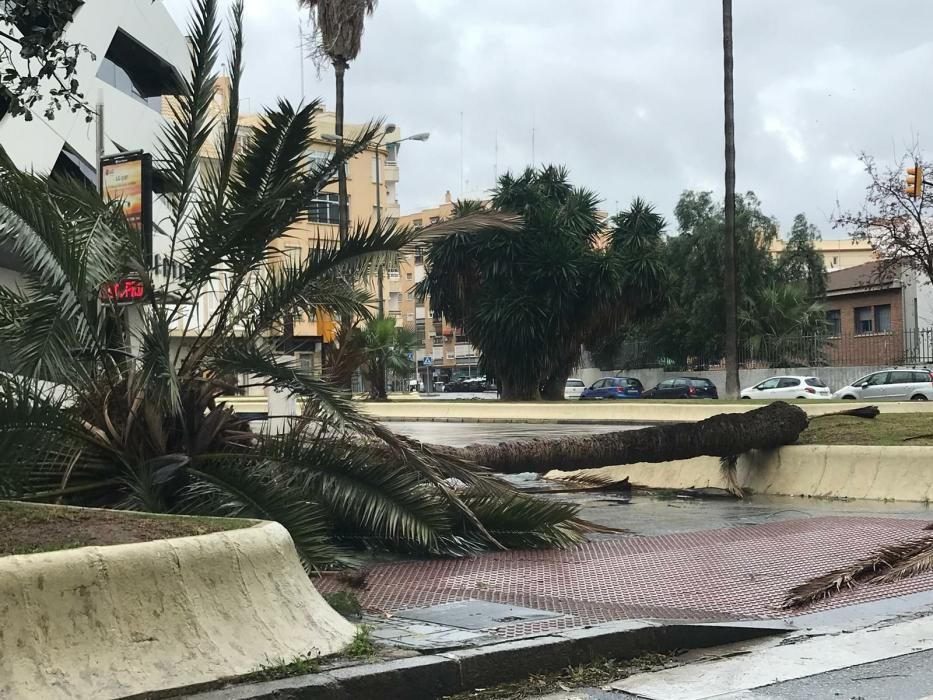 Temporal de viento y lluvia en Málaga