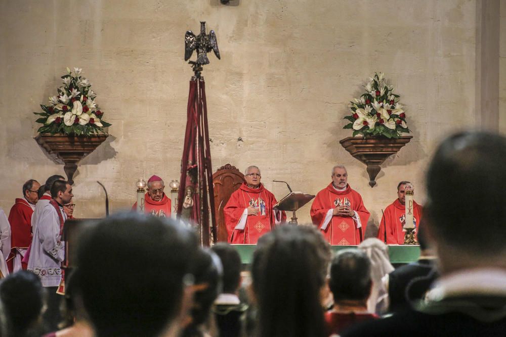 El día del Pájaro en Orihuela