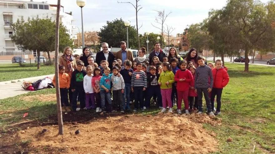 Els escolars de Palma fan reviure les zones verdes