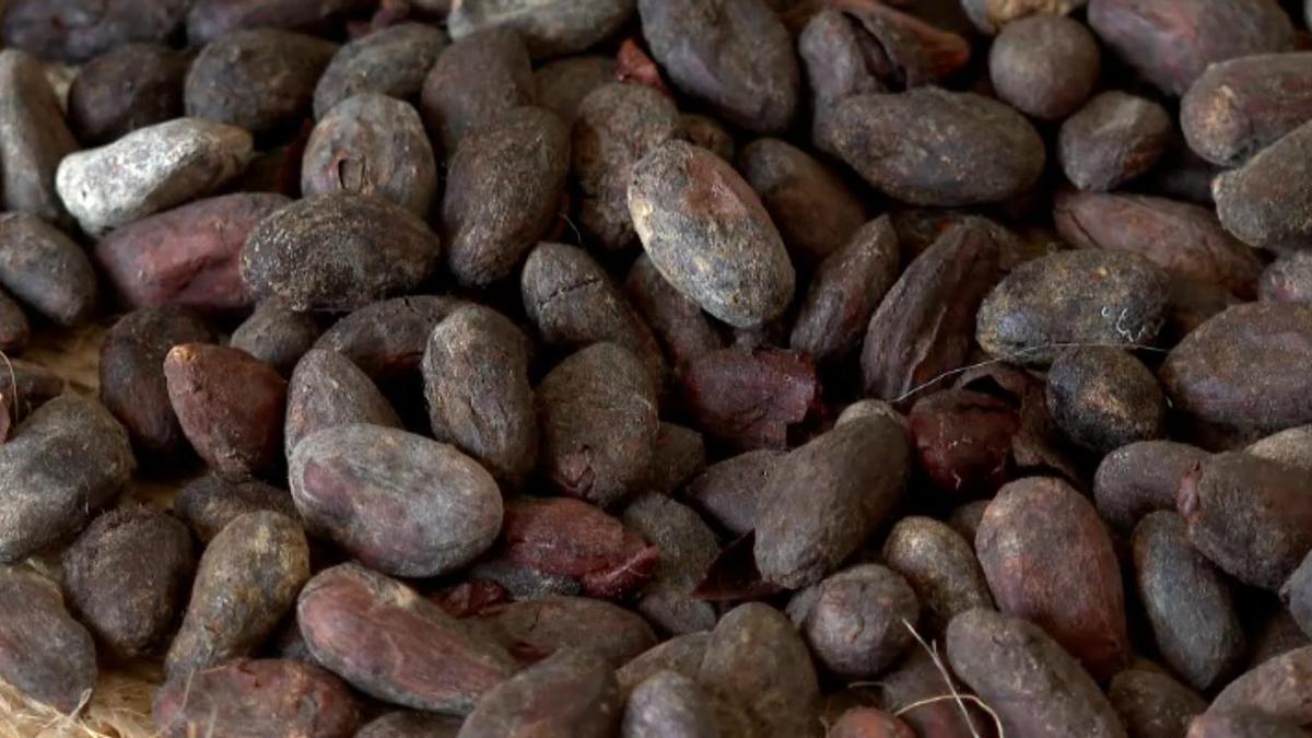 El precio del cacao se dispara un 135% desde enero