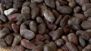 El precio del cacao se dispara un 135% desde enero