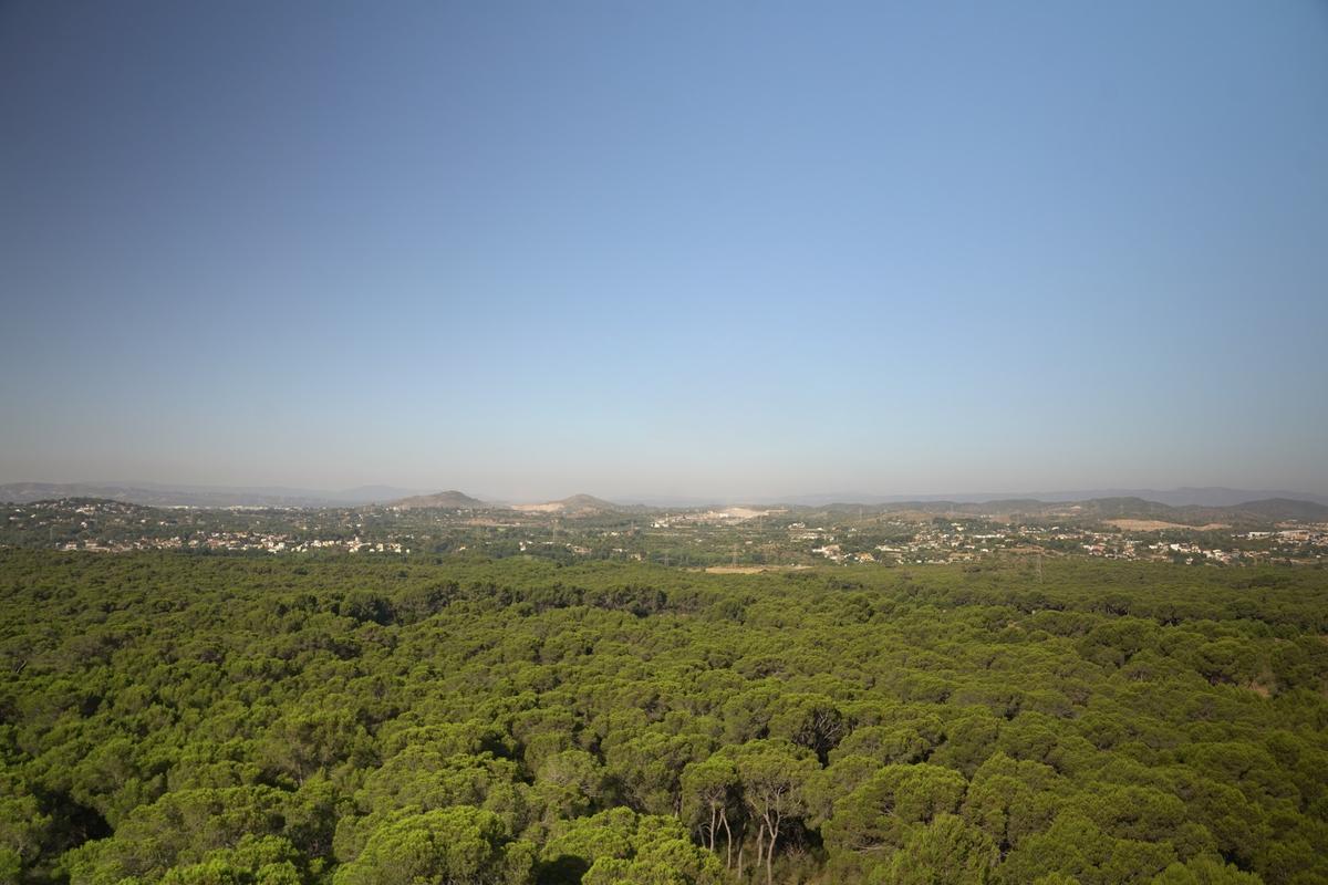 Paraje natural de la Vallesa en una fotografía de archivo.
