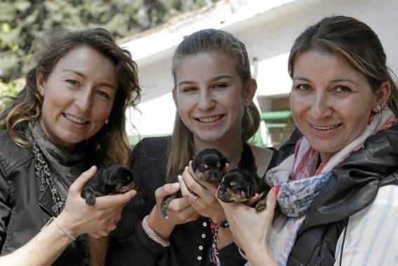 Seit über 30 Jahren betreibt Josefi na Vivancos in Pollença ein Hundeasyl. Zum Tierschutz kam die Mallorquinerin eher zufällig. Heute lebt sie mit 40 Hunden auf einer Finca und hat Hunderten von Vier