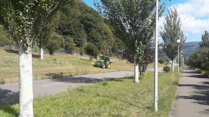 La romería de los Mártires prepara el aparcamiento