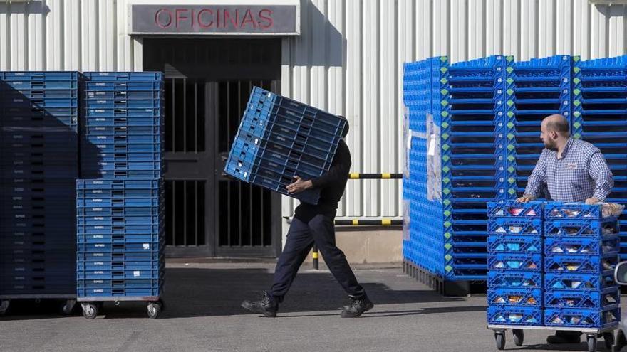 Bimbo comunicó el pasado martes su pretensión de cerrar la fábrica palmesana.