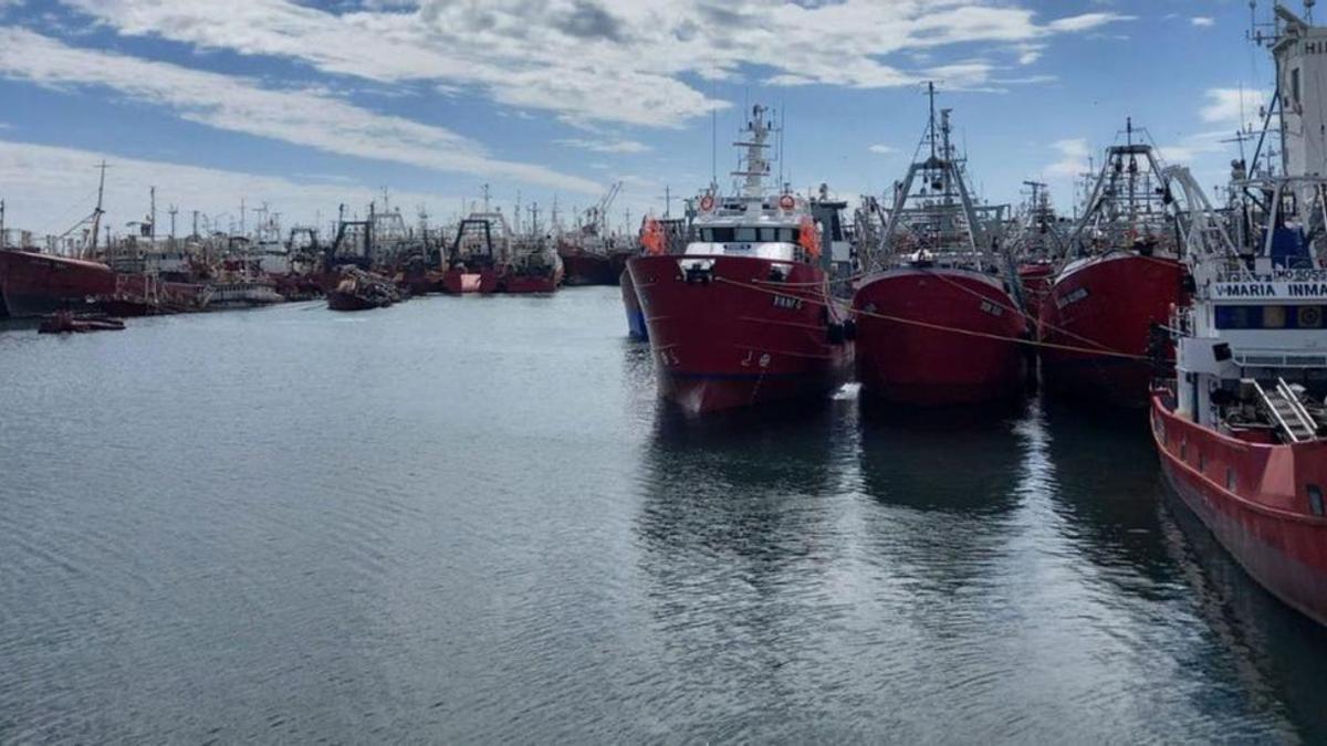 Pesqueros amarrados ayer en Mar de Plata, principal puerto pesquero de Argentina.