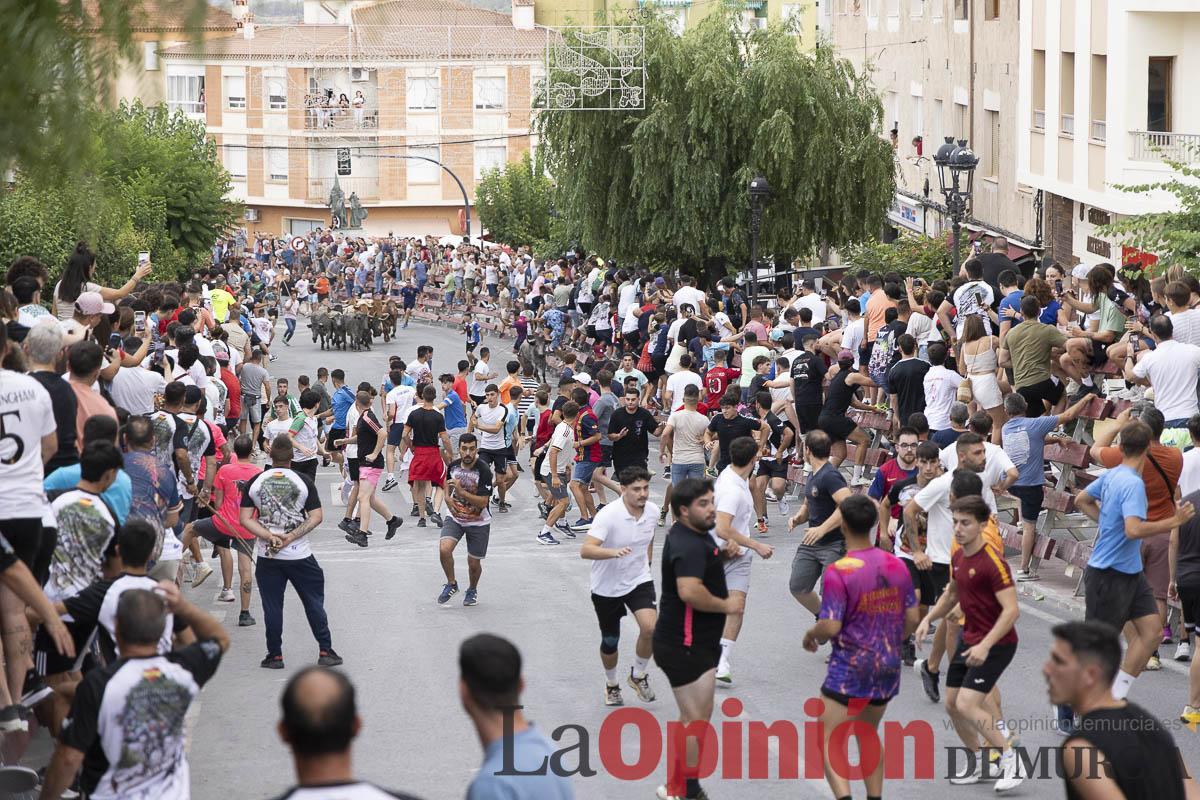 Fiestas de Moratalla/Séptimo encierro_018