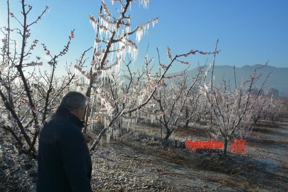 Helada en Cieza 9 de febrero de 2018