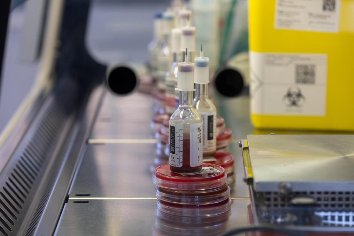 Investigación en virus y bacterias Investigación en virus y bacterias