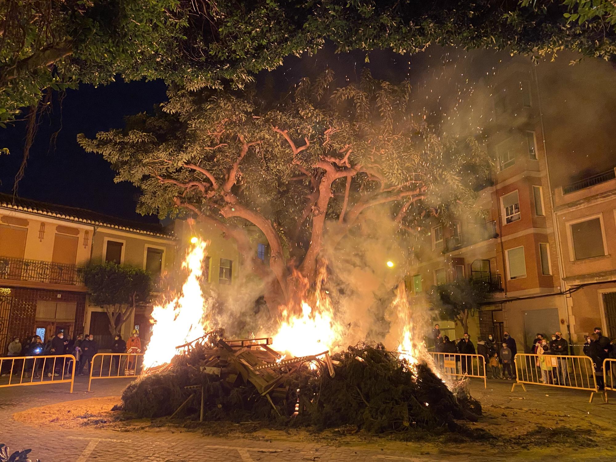 Massanassa: Hoguera de San Antonio con los pinos.jpg