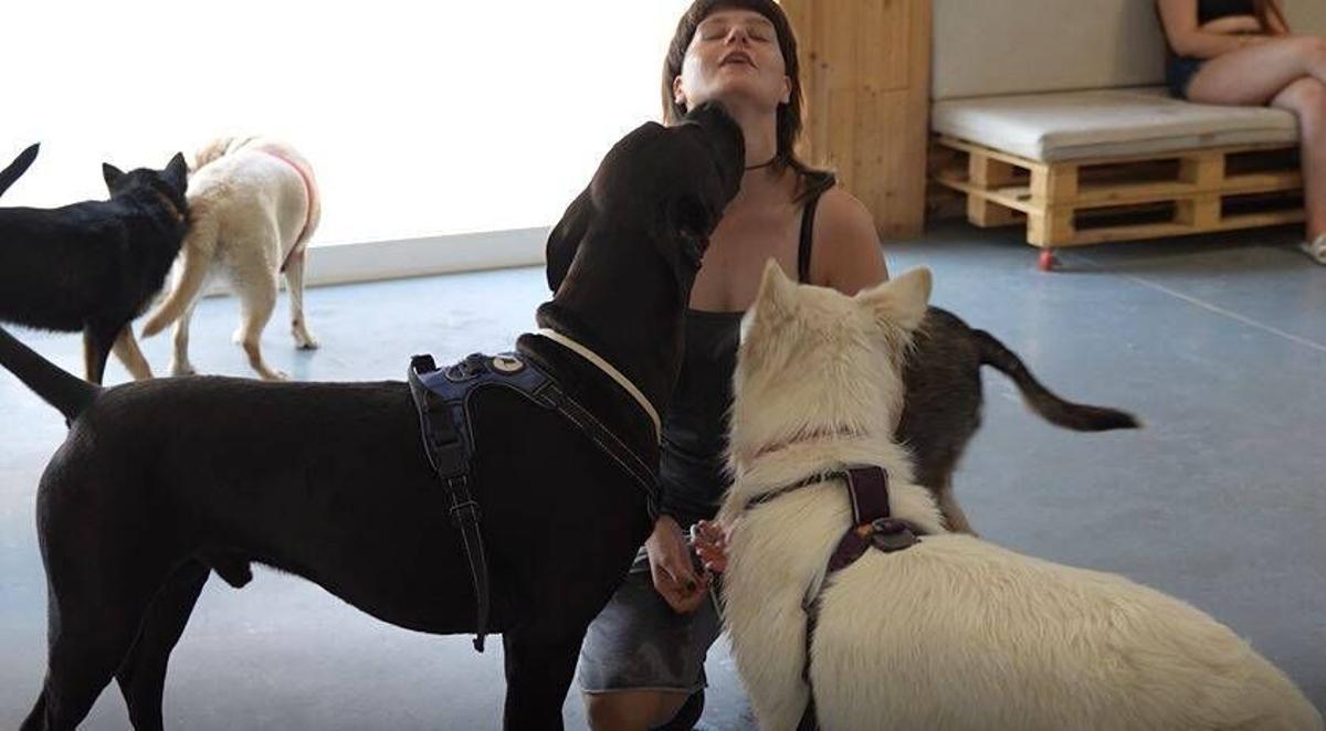 MANRESA . FUNDACIO ALTHAIA . GOSSOS . SALUT MENTAL