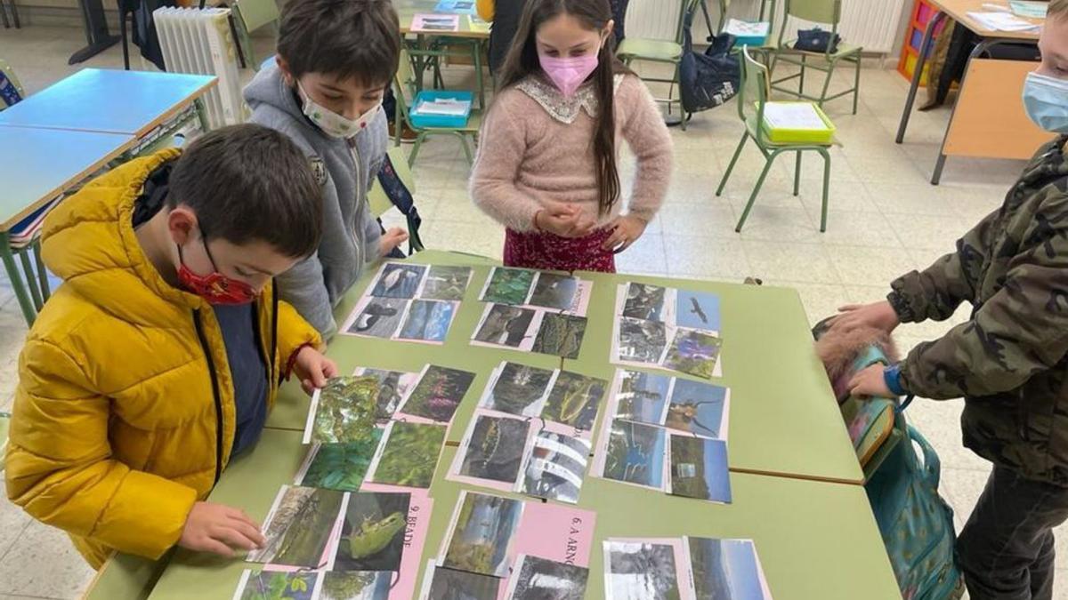 Escolares trabajando imágenes del camino.