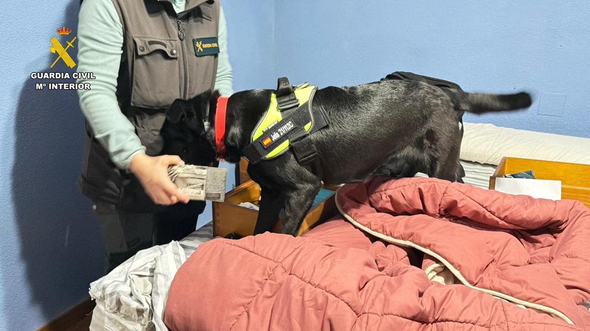 Operación de la Guardia Civil en Cáceres para desmantelar una banda de estafadores.