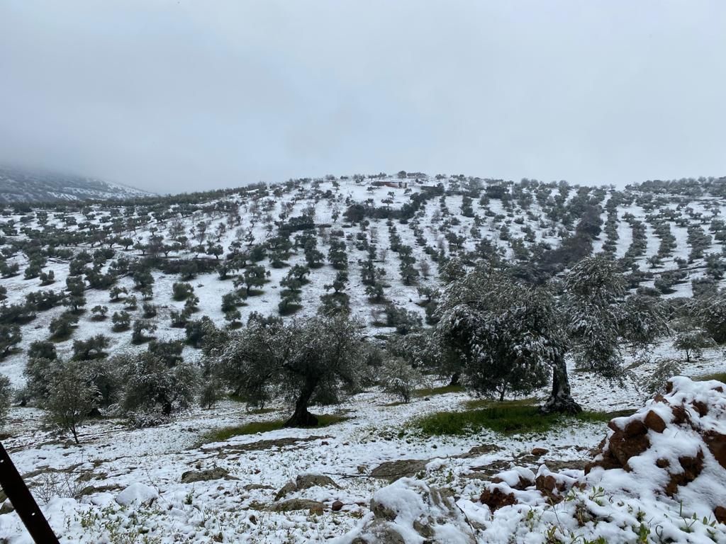 Blanca Extremadura