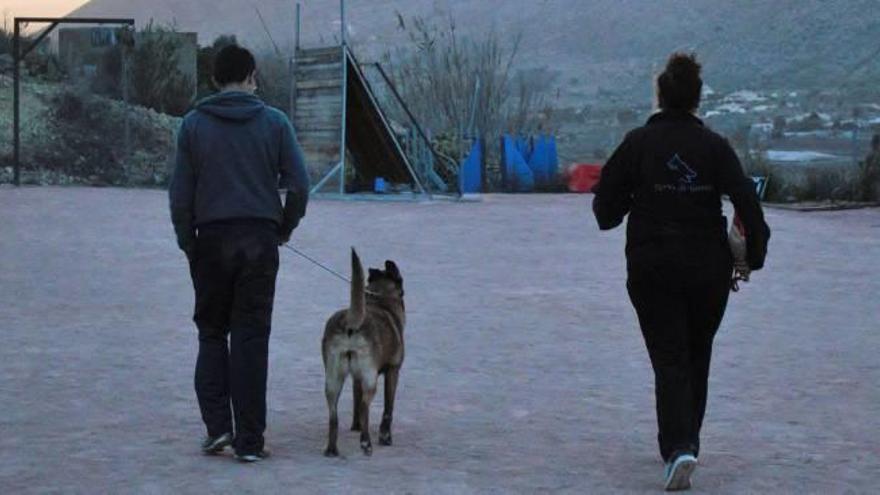 Perros para reconducir vidas