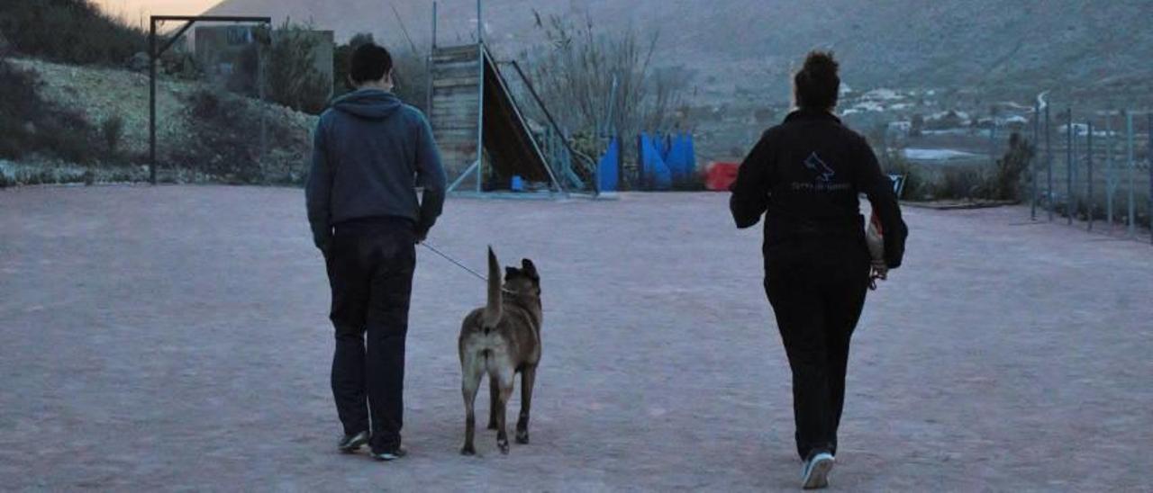 Perros para reconducir vidas