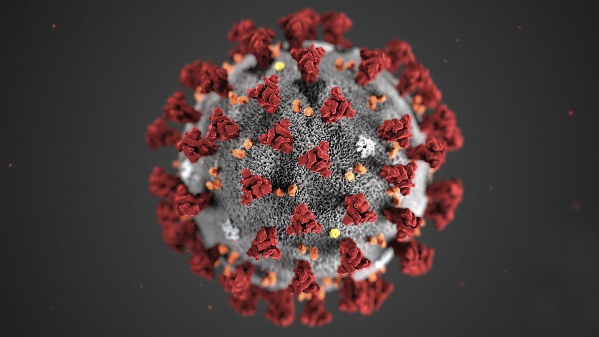 This handout illustration image obtained February 3, 2020, courtesy of the Centers for Disease Control and Prevention, and created at the Centers for Disease Control and Prevention (CDC), reveals ultrastructural morphology exhibited by coronaviruses. - Note the spikes that adorn the outer surface of the virus, which impart the look of a corona surrounding the virion, when viewed electron microscopically. A novel coronavirus virus was identified as the cause of an outbreak of respiratory illness first detected in Wuhan, China in 2019. (Photo by Alissa ECKERT / Centers for Disease Control and Prevention / AFP) / RESTRICTED TO EDITORIAL USE - MANDATORY CREDIT &quot;AFP PHOTO /CENTERS FOR DISEASE CONTROL AND PREVENTION/ALISSA ECKERT/HANDOUT &quot; - NO MARKETING - NO ADVERTISING CAMPAIGNS - DISTRIBUTED AS A SERVICE TO CLIENTS