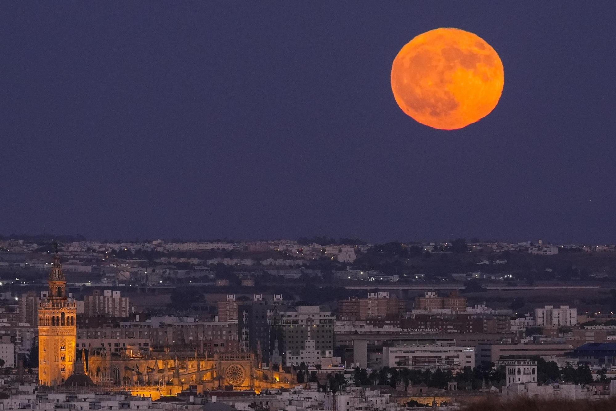 La Superluna del Esturión se ha podido ver hoy en Sevilla tras la Catedral y Torre Sevilla, a 19 de agosto de 2024 en Sevilla (Andalucía, España). La luna del Esturión da su origen en el Farmer's Almanac, una revista periódica de Estados Unidos bautiza los eventos meteorológicos y astronómicos con las denominaciones otorgadas por los pueblos originarios de Norteamérica 20 AGOSTO 2024 Joaquin Corchero / Europa Press 19/08/2024 / Joaquin Corchero;