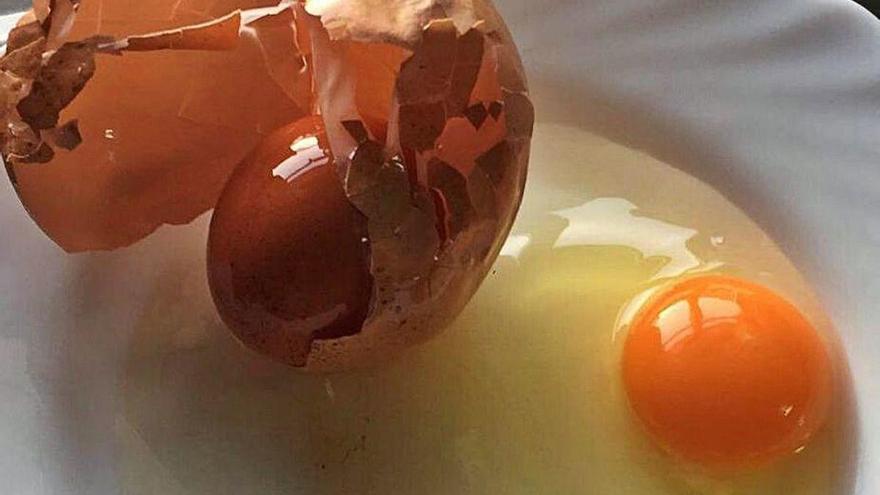 Un huevo con cáscara dentro de otro, junto a la yema y la clara
