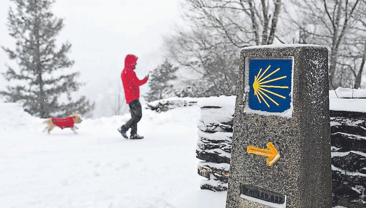 Una persona pasea a su perro en O Cebreiro (Lugo).