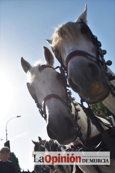 Ruta a caballo desde la ciudad al corazón de la hu