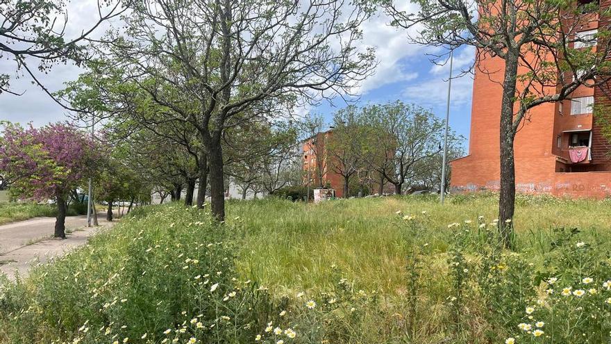 Un proyecto de Urvipexsa busca transformar la zona degradada de 56 viviendas sociales en Aldea Moret, Cáceres, con zonas de juego y paseo