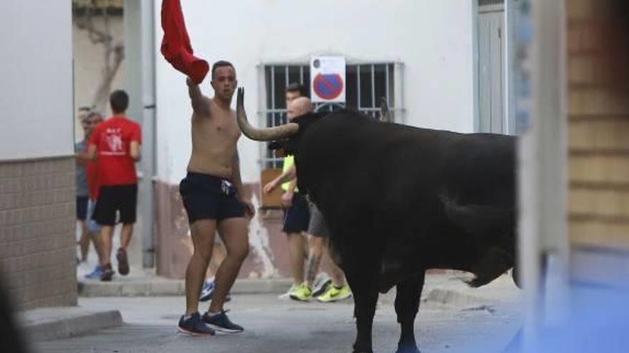 Un toro por las calles de Canet .