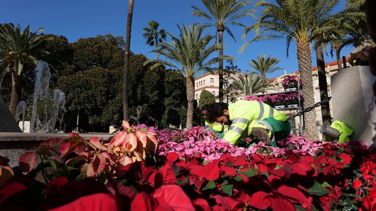 Operarios plantando flores en la Plaza Héroes de Cavite