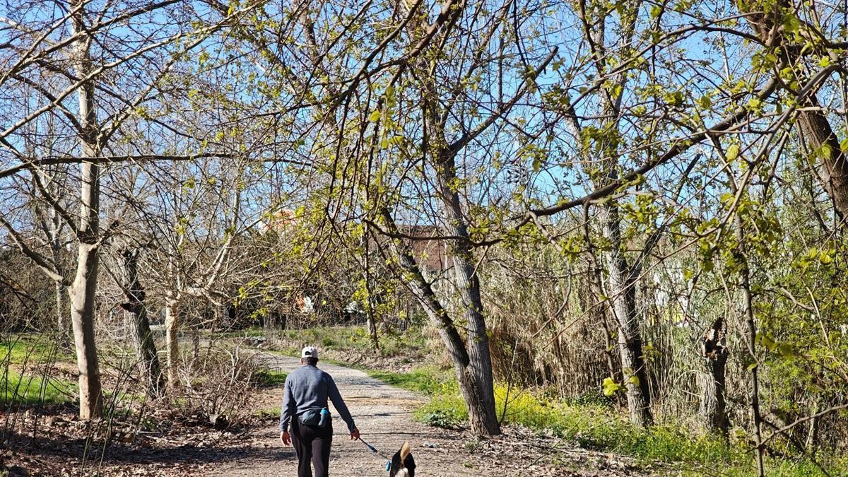 Parque del Cascajar, una histórica zona verde del sector noreste de Lucena.