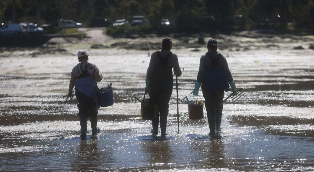 Mariscadores tomándose
un respiro, entre la costa de
Cambados y la de A Toxa.
| Noé Parga