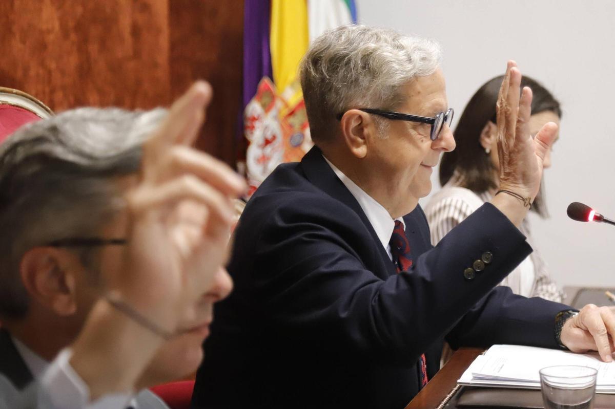 Salvador Fuentes, votando a favor de los presupuestos de la Diputación este miércoles.