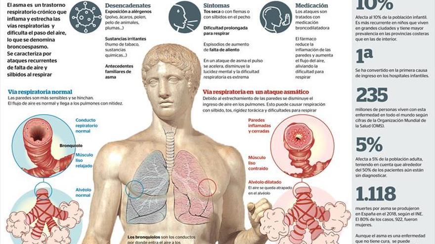 El asma, un mal crónico