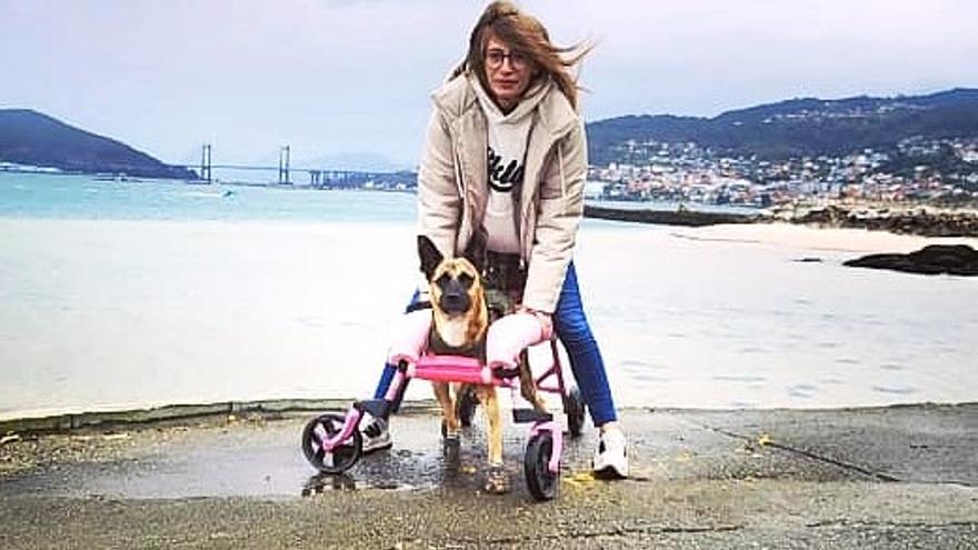 Samba no podía andar y ahora corre que se las pela con una silla de ruedas 'feita na casa'