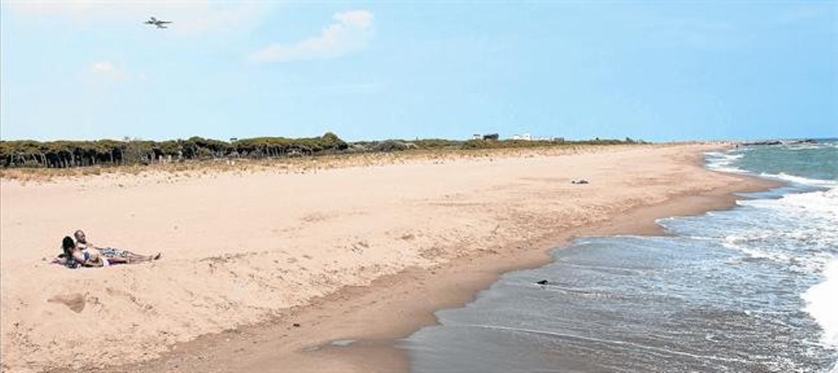 La playa de los pájaros  TODOS_MEDIA_2