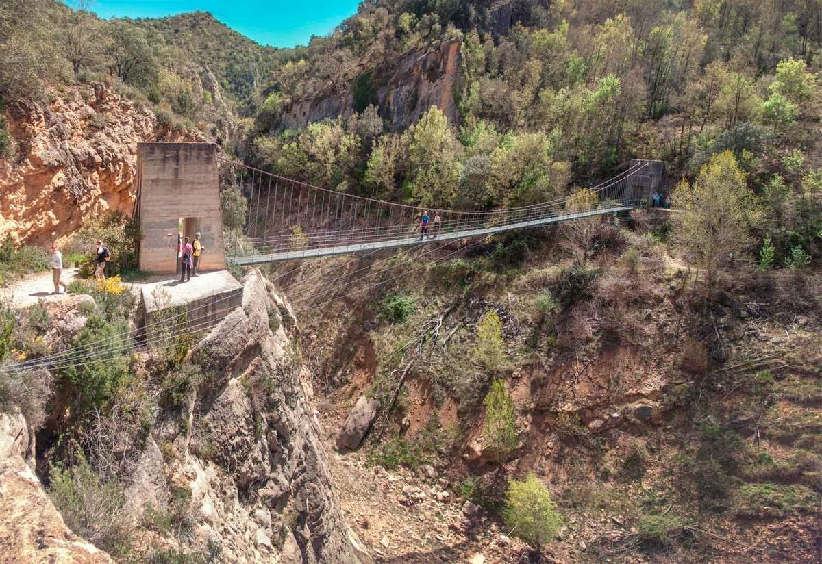 Vista Del Puente Colgante De La Suspensión Del Río Salmón En El