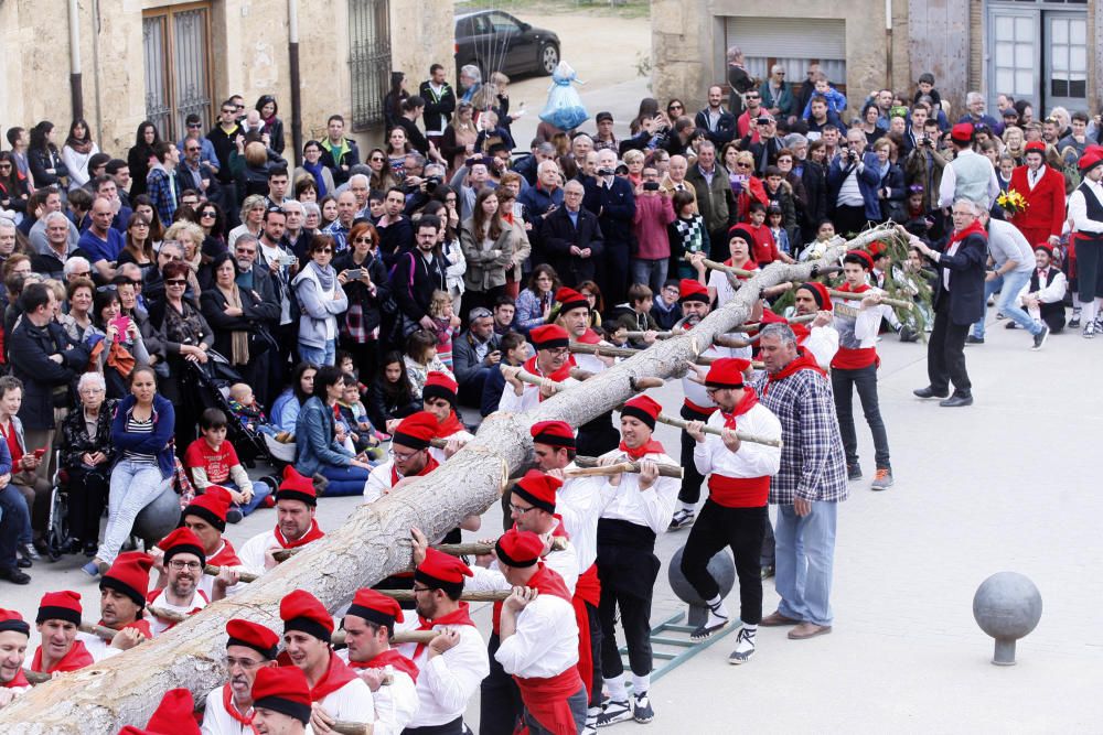 El ball del cornut de Cornellà