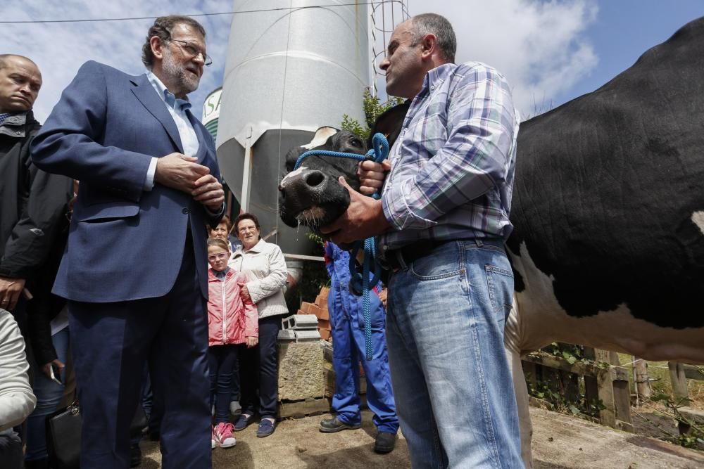 Visita de Mariano Rajoy a una ganadería en Gozón (Asturias)